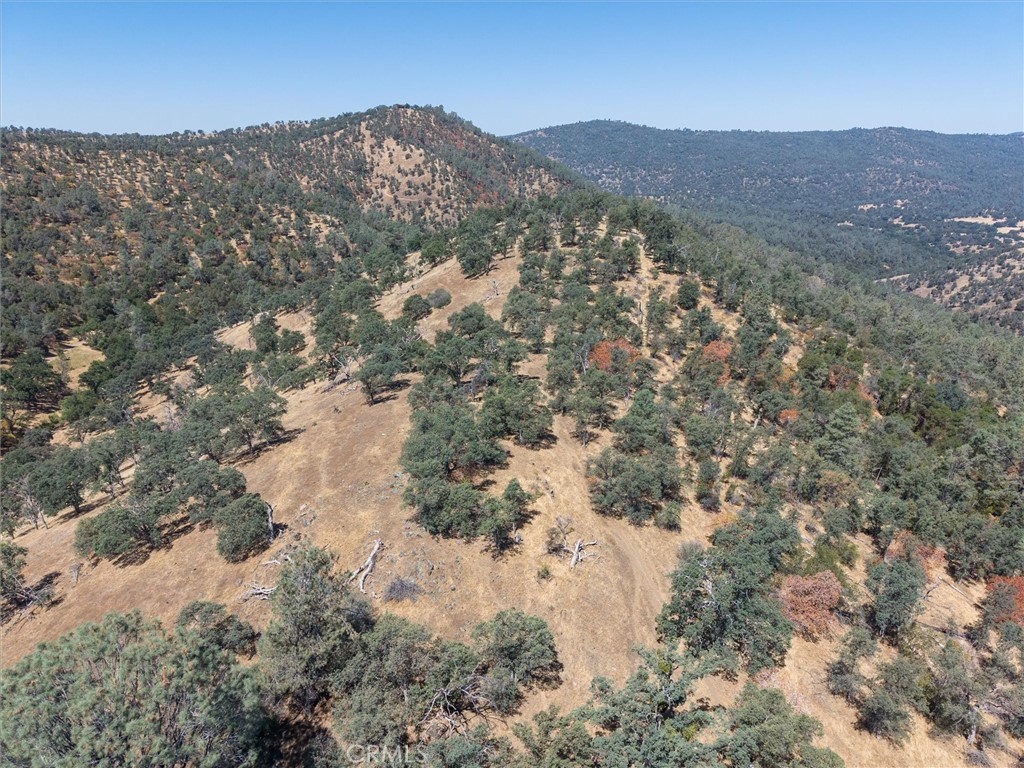 157 Acres Mountain View Peak Road Property Photo 37