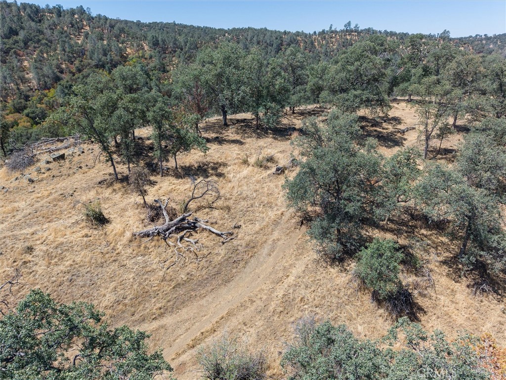 157 Acres Mountain View Peak Road Property Photo 43
