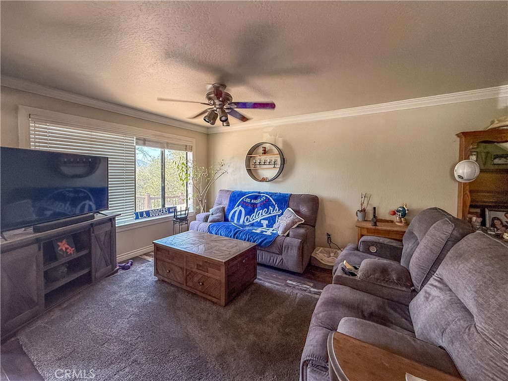 42306 Snowline Court Property Photo 18