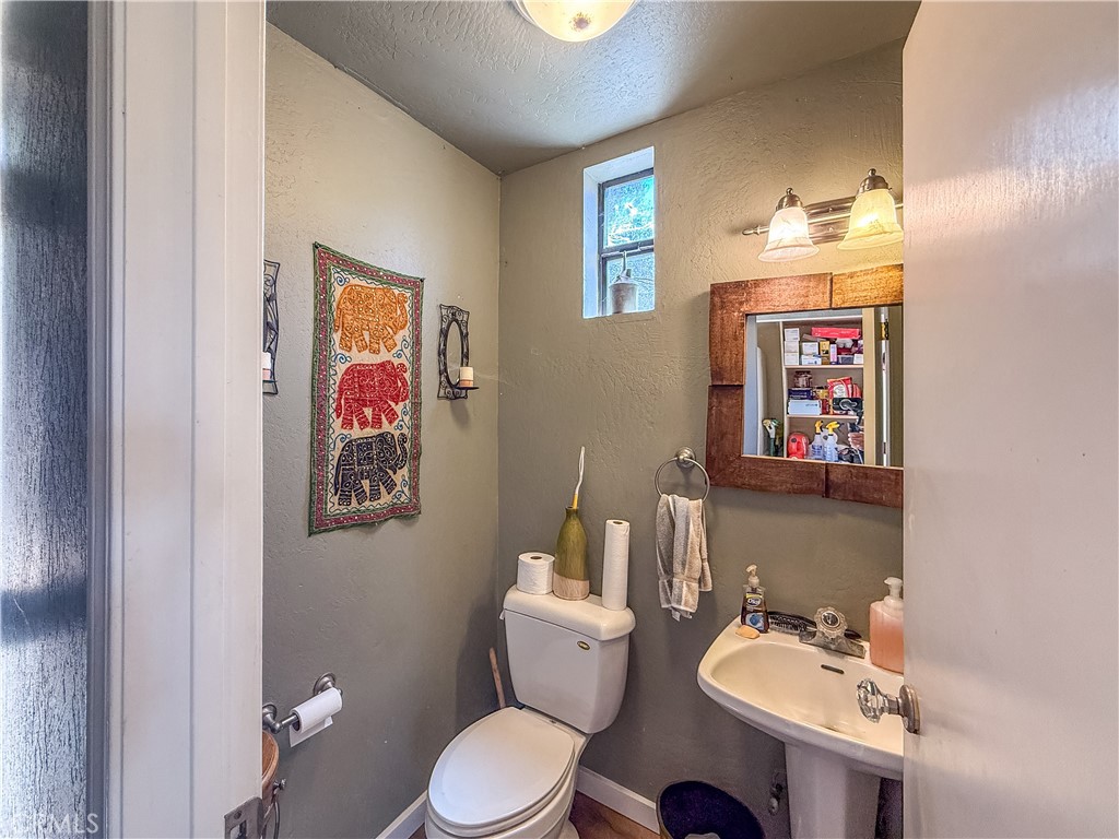 42306 Snowline Court Property Photo 20