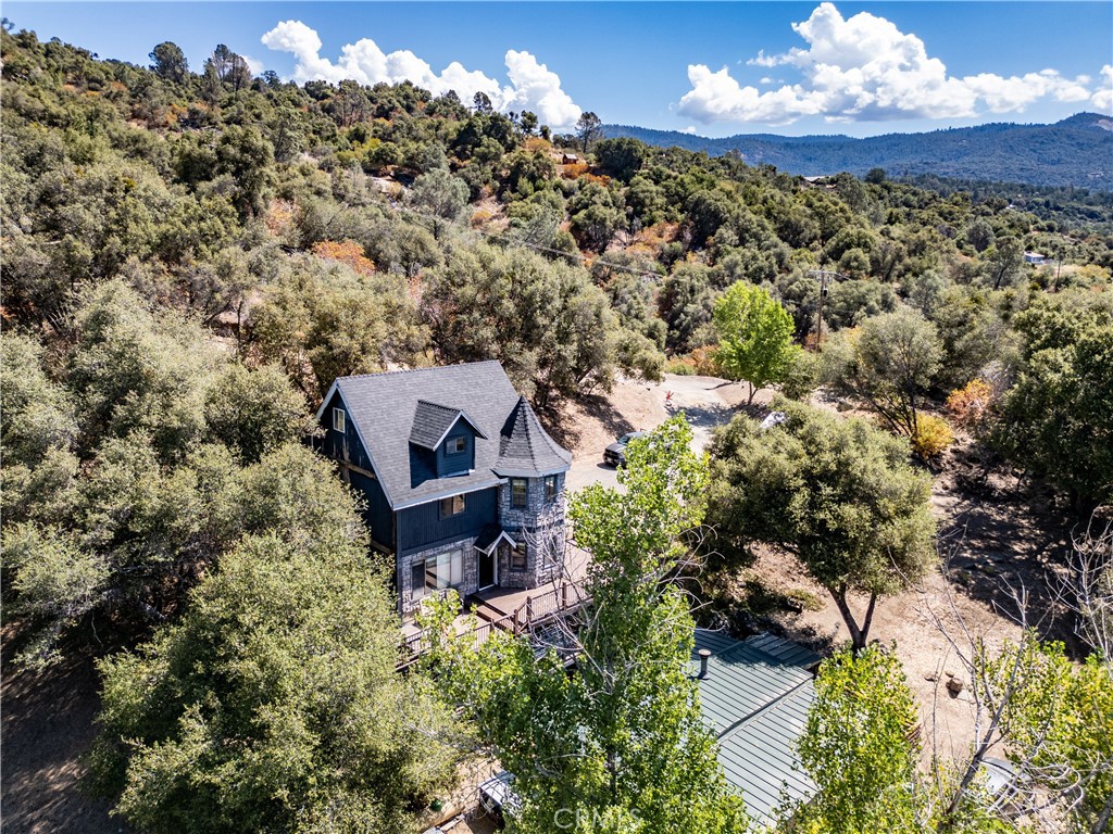 42306 Snowline Court Property Photo 29