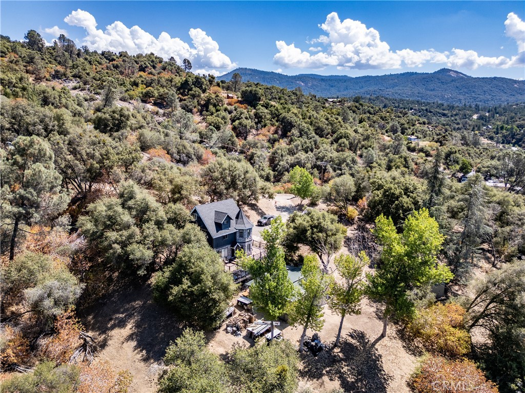 42306 Snowline Court Property Photo 30