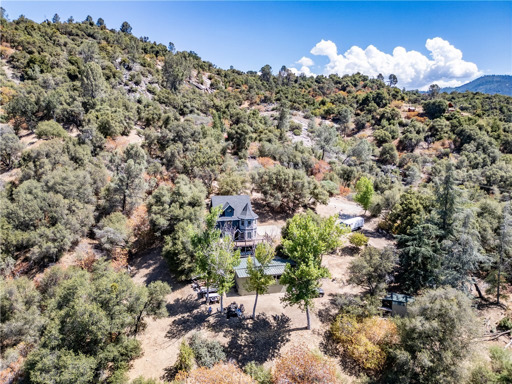 42306 Snowline Court Property Photo 31