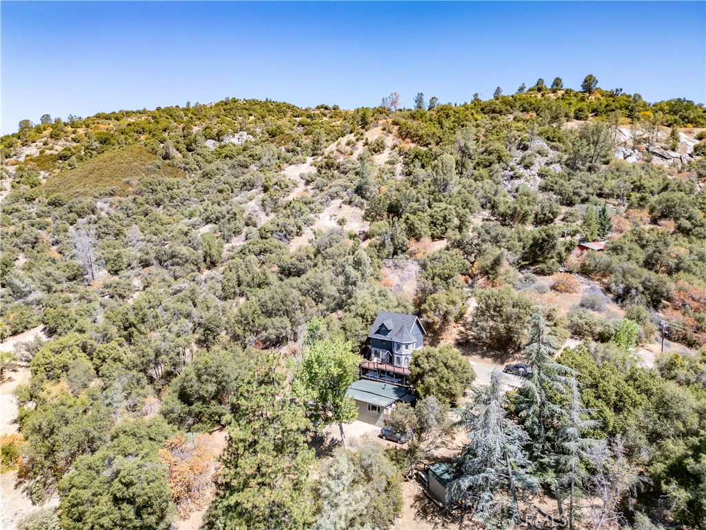 42306 Snowline Court Property Photo 32