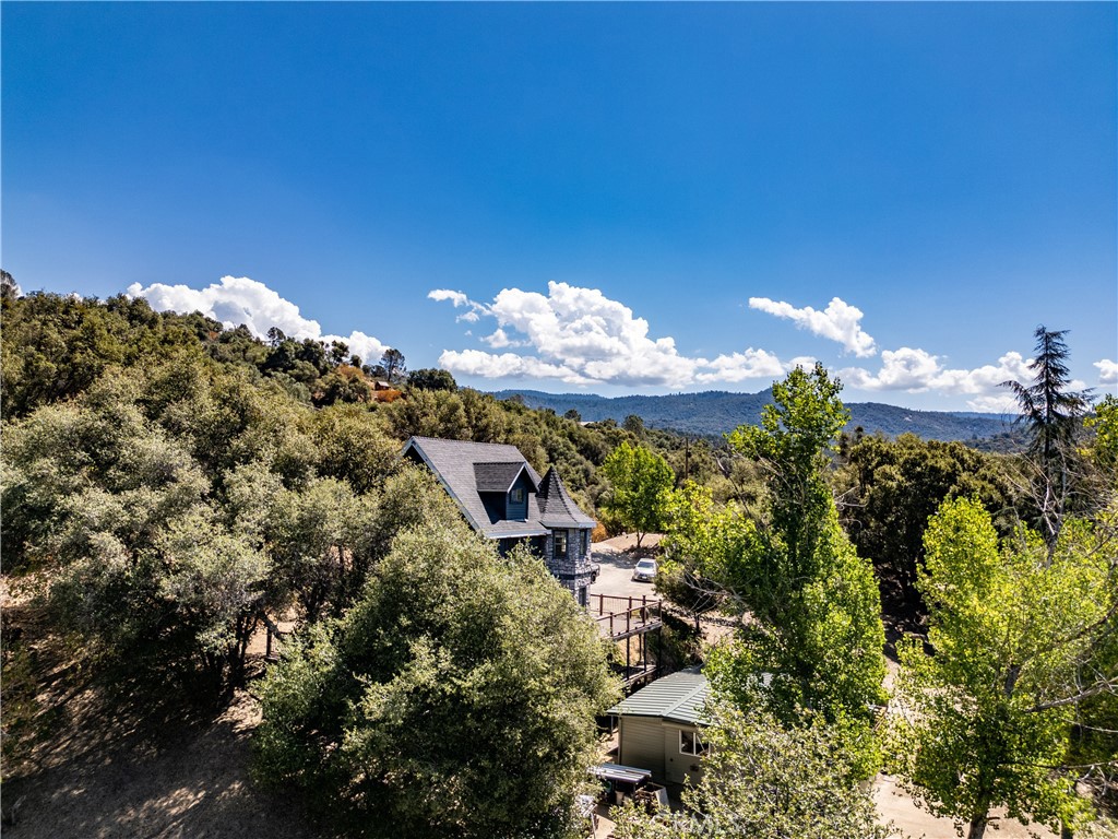 42306 Snowline Court Property Photo 37