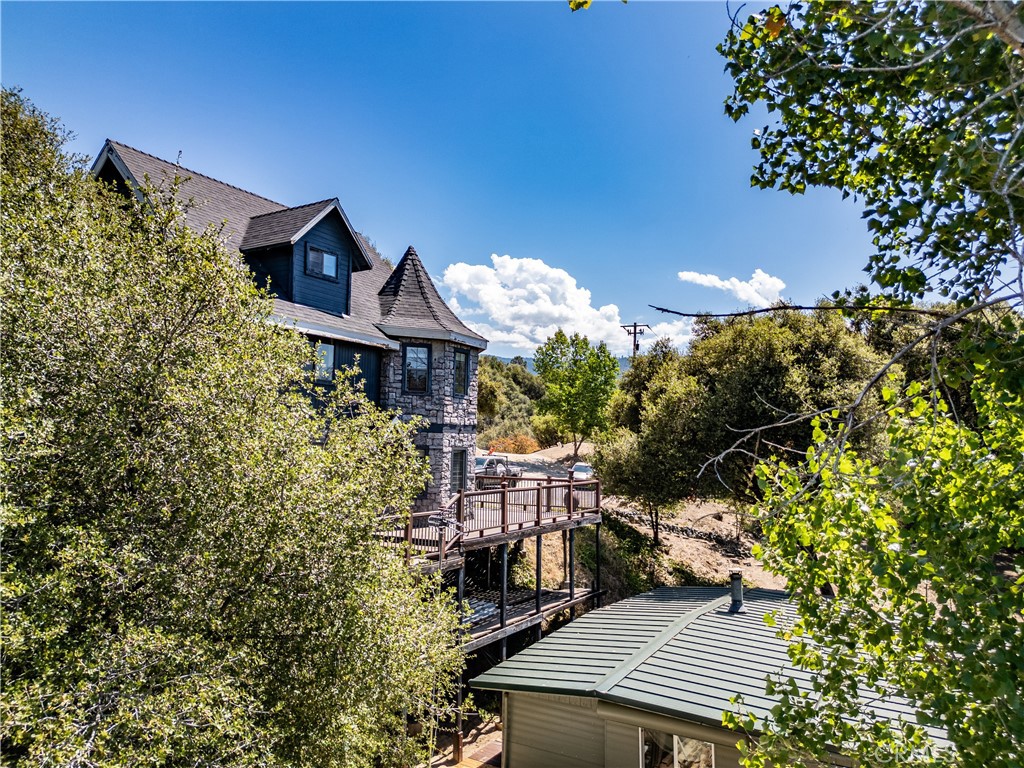 42306 Snowline Court Property Photo 38