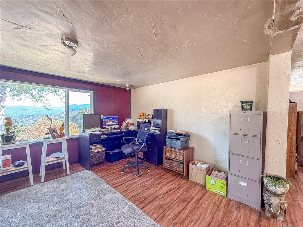 42306 Snowline Court Property Photo 66