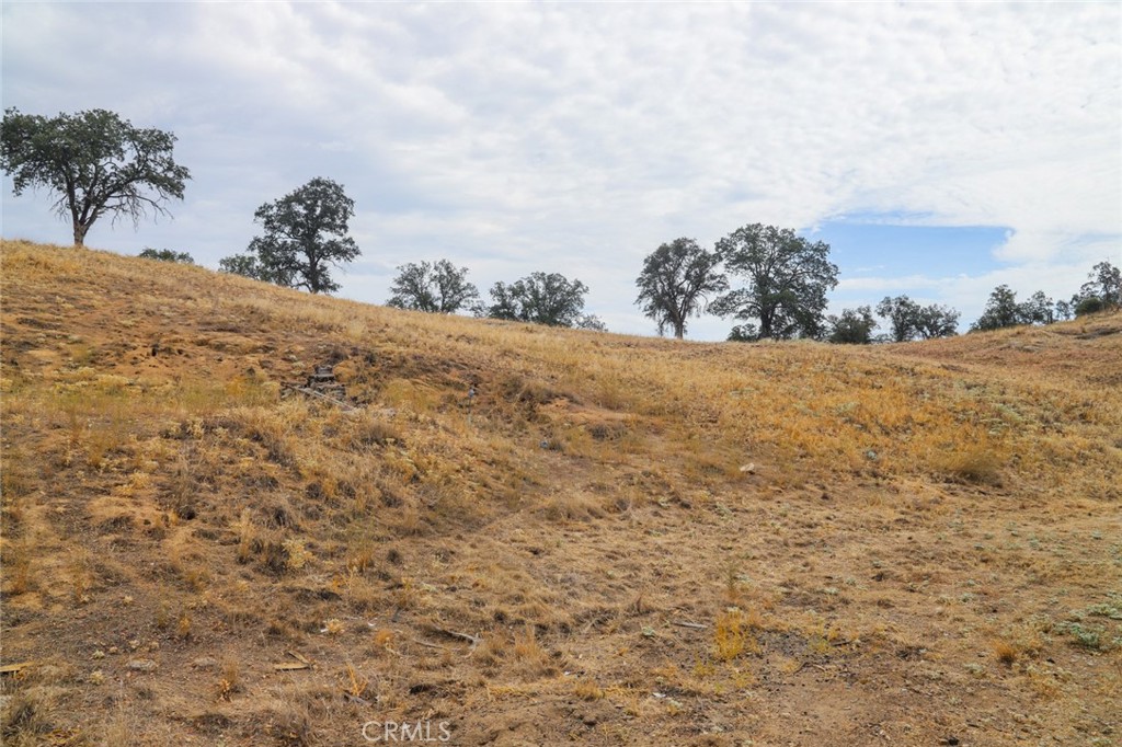 39503 S Lilley Property Photo 25