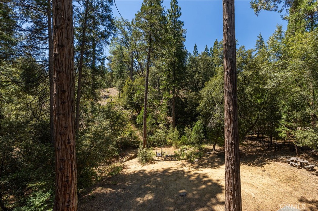 39964 N Cedar Vista Property Photo 36