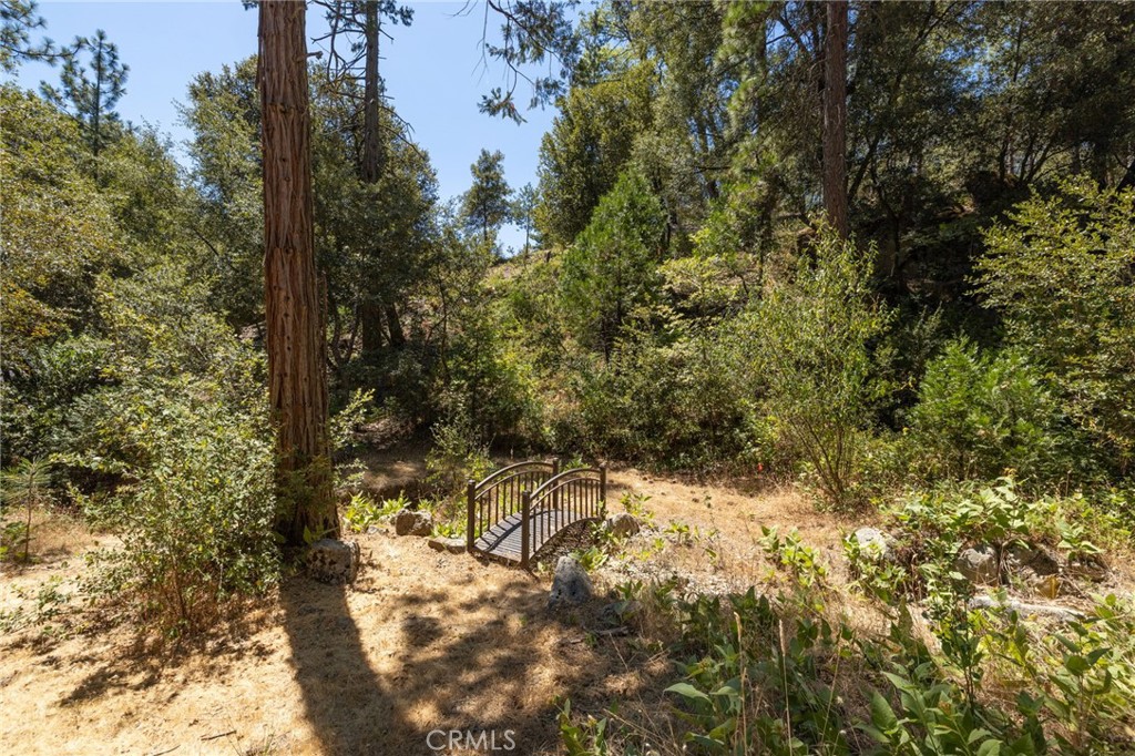 39964 N Cedar Vista Property Photo 39