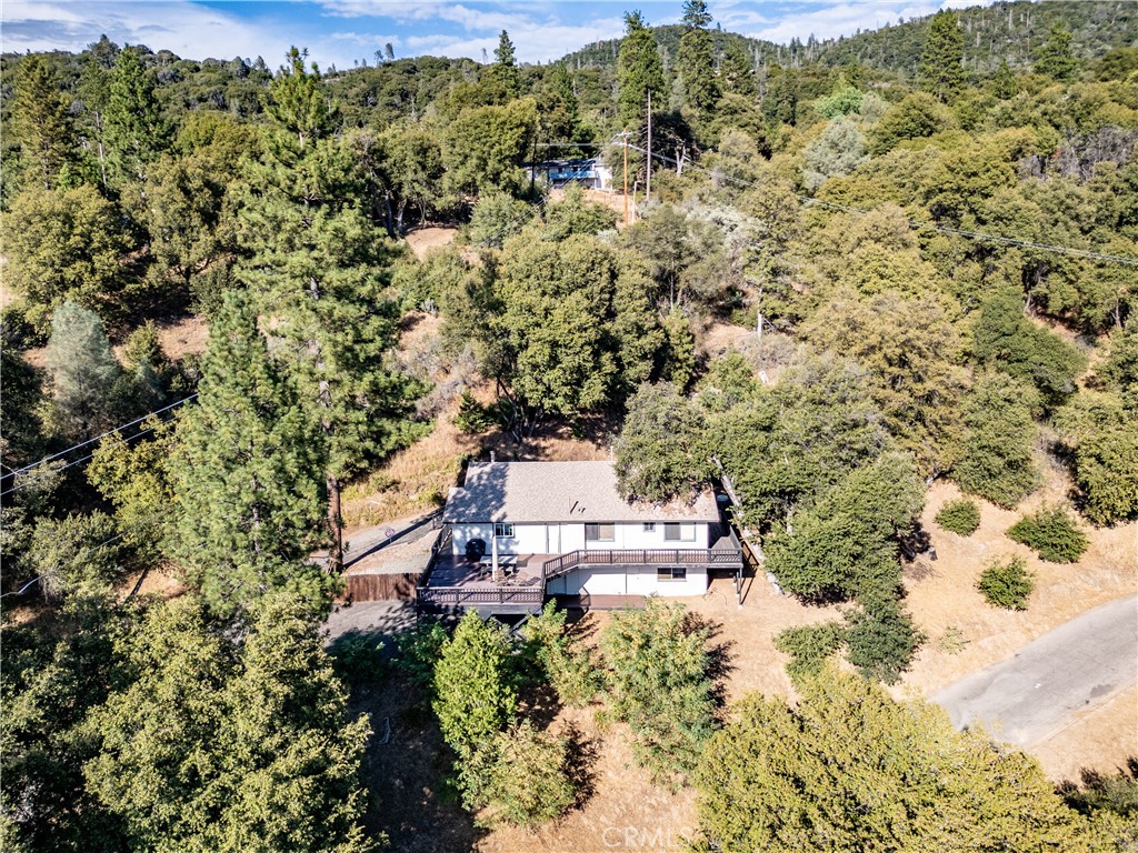 51591 Ponderosa Way Property Photo 46