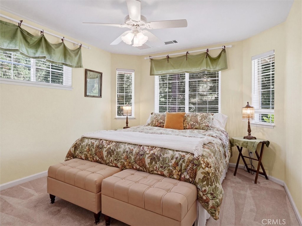 36213 Finegold Creek Property Photo 41
