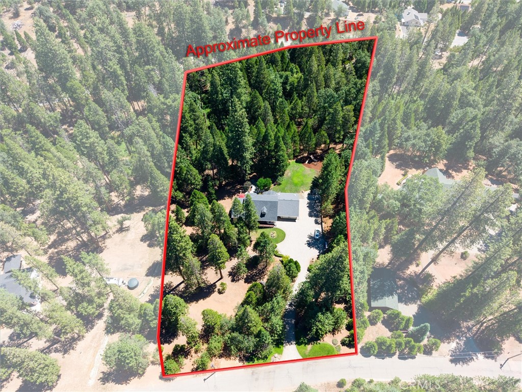 36213 Finegold Creek Property Photo 74