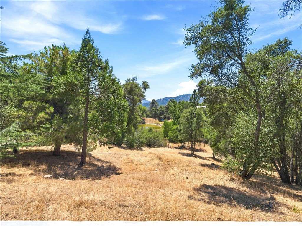 43710 Hilltop Property Photo 72