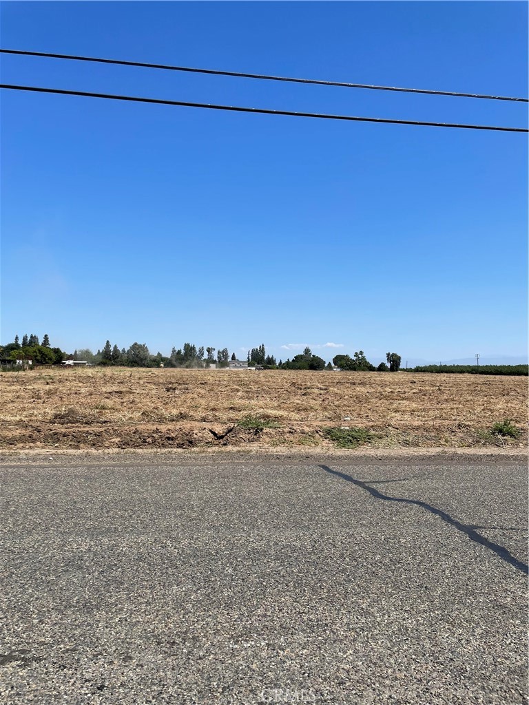 0 Olive Property Photo 1