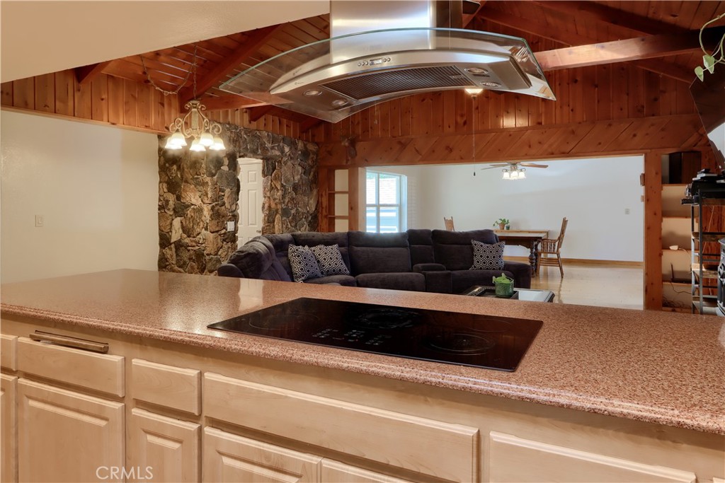 36125 Cedar Lane Property Photo 14