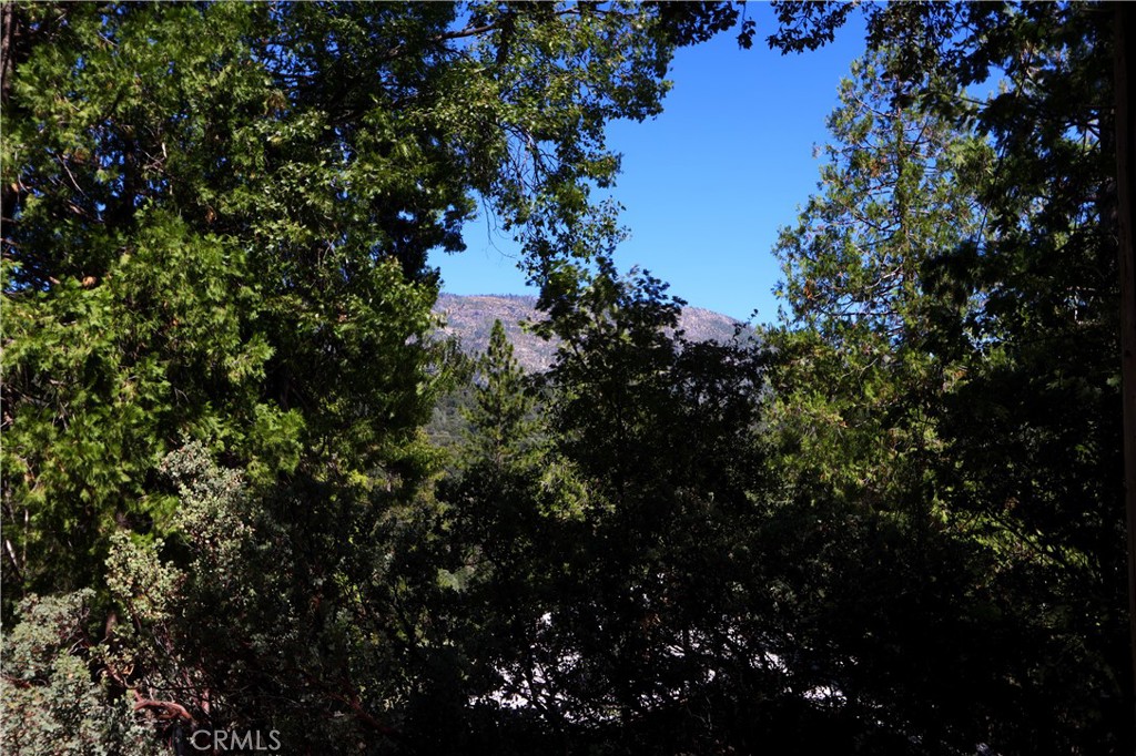 36125 Cedar Lane Property Photo 50