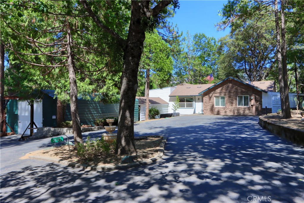 36125 Cedar Lane Property Photo 51