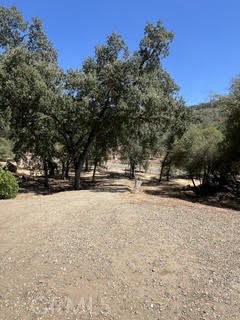 50294 Chuckwagon Property Photo 33