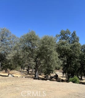 50294 Chuckwagon Property Photo 34