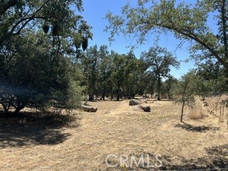 50294 Chuckwagon Property Photo 44