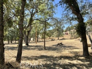 50294 Chuckwagon Property Photo 45