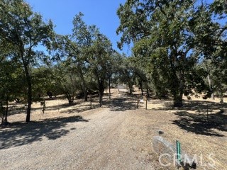 50294 Chuckwagon Property Photo 46