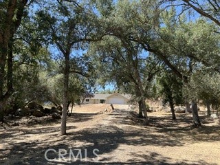 50294 Chuckwagon Property Photo 47