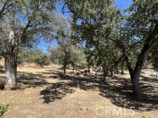 50294 Chuckwagon Property Photo 48