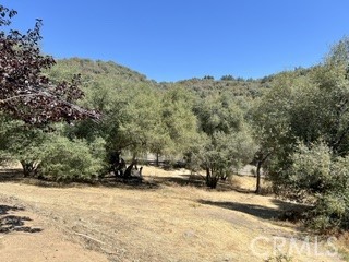 50294 Chuckwagon Property Photo 49