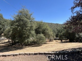 50294 Chuckwagon Property Photo 50