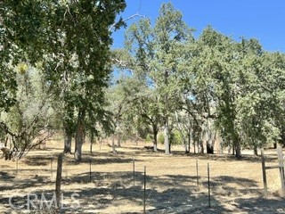 50294 Chuckwagon Property Photo 51