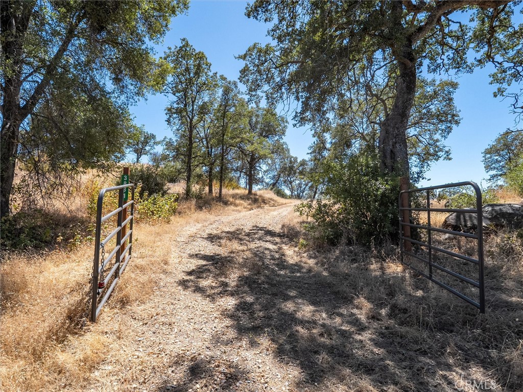 3831 Broncho Hollow Property Photo 1
