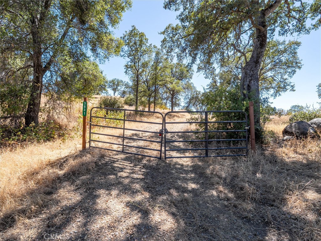 3831 Broncho Hollow Property Photo 2