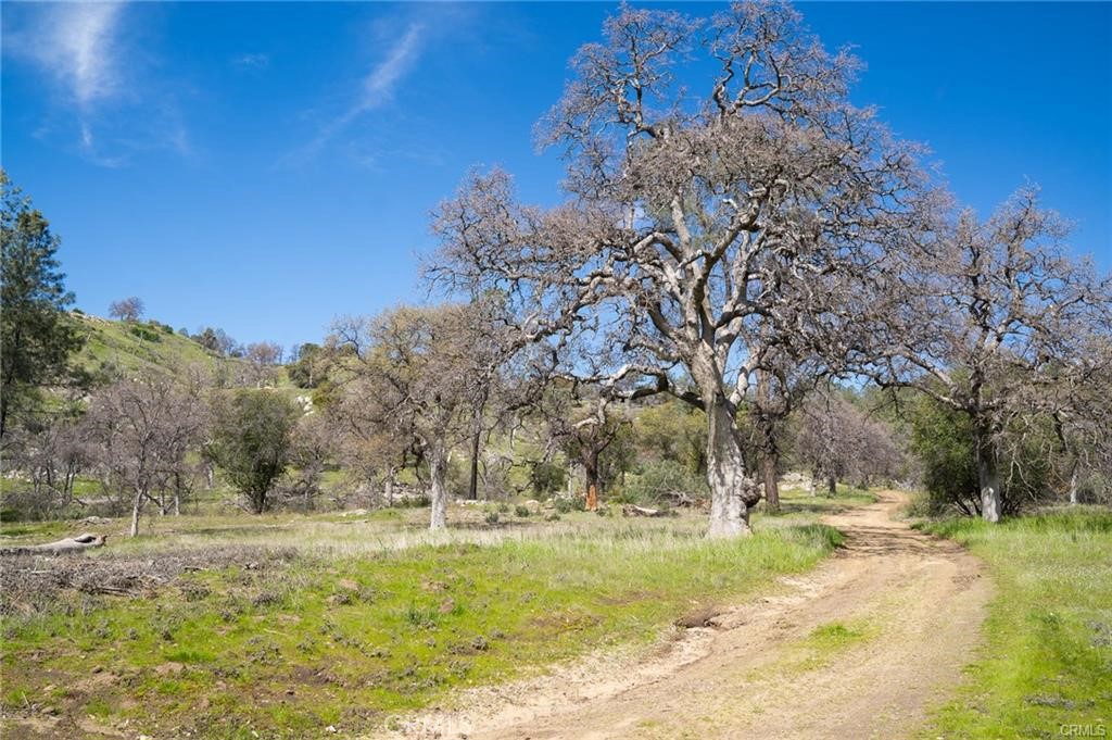 3831 Broncho Hollow Property Photo 3