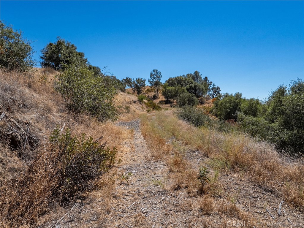 3831 Broncho Hollow Property Photo 4