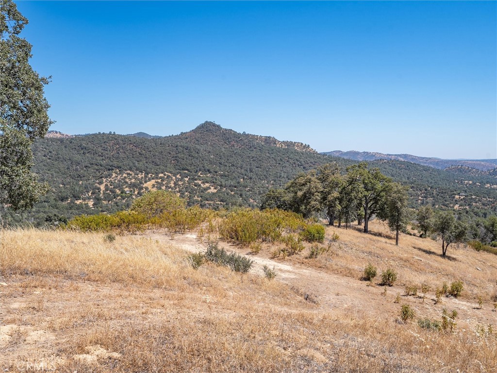 3831 Broncho Hollow Property Photo 5
