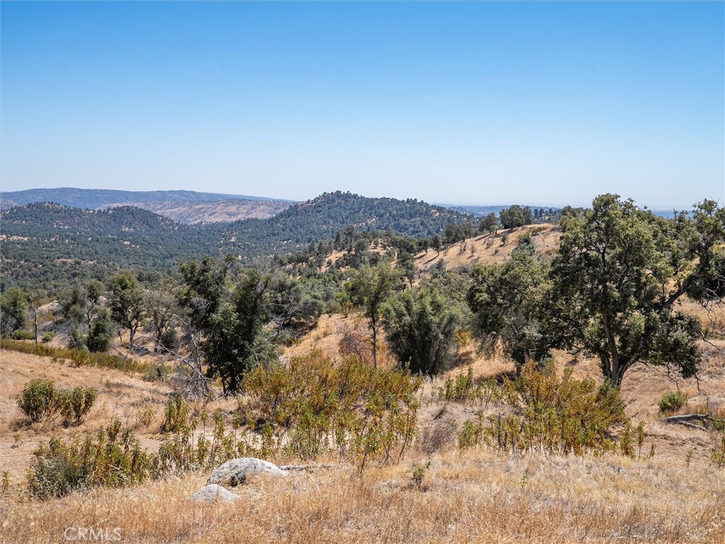 3831 Broncho Hollow Property Photo 9