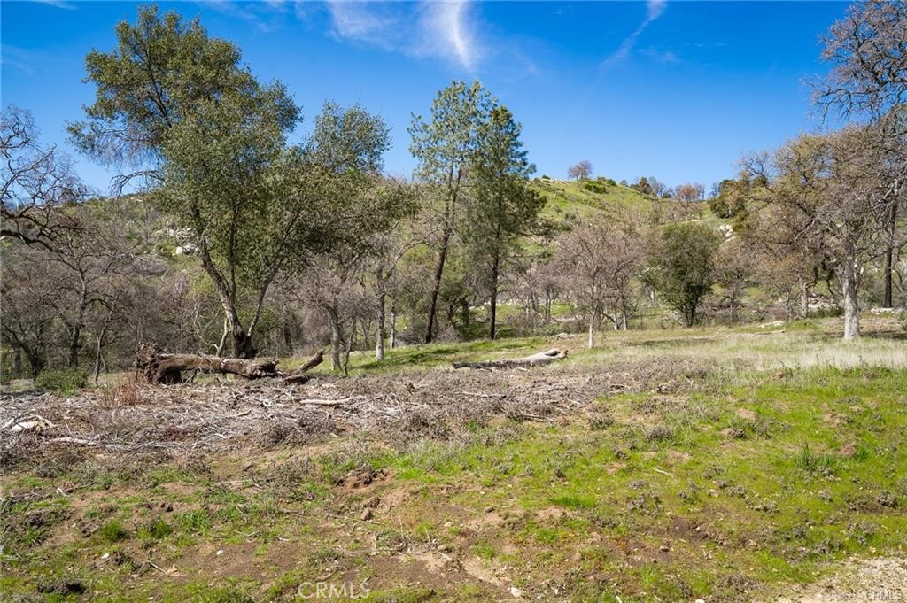 3831 Broncho Hollow Property Photo 10