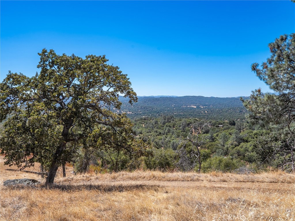 3831 Broncho Hollow Property Photo 11