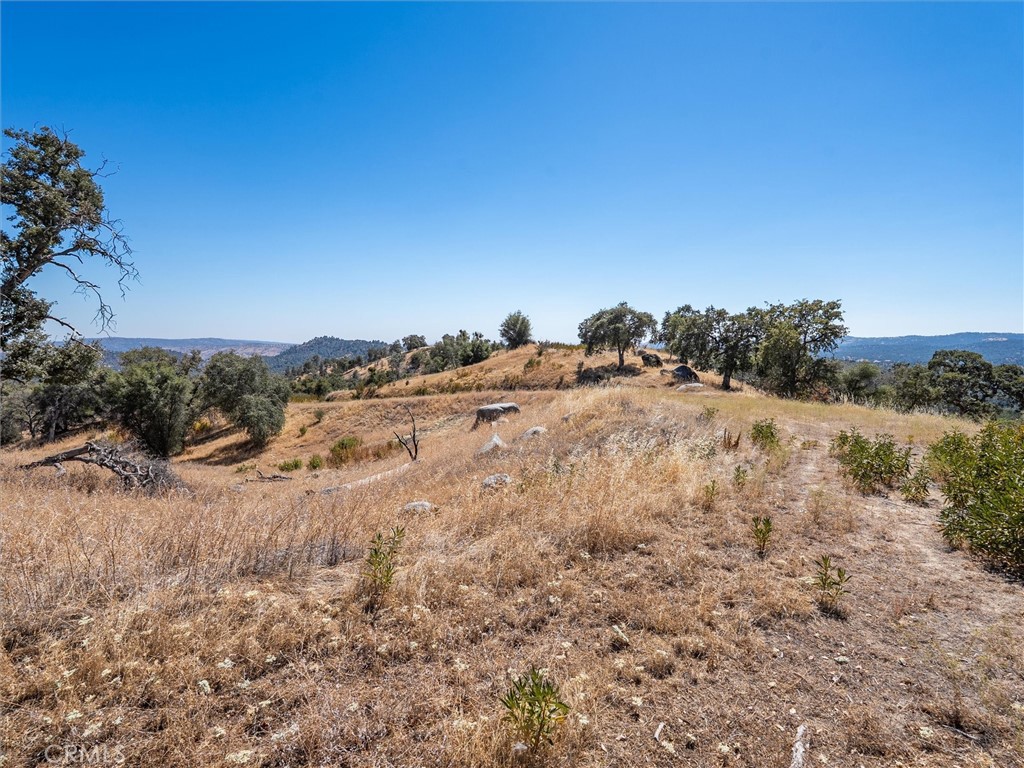 3831 Broncho Hollow Property Photo 13