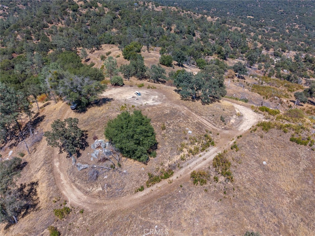 3831 Broncho Hollow Property Photo 15