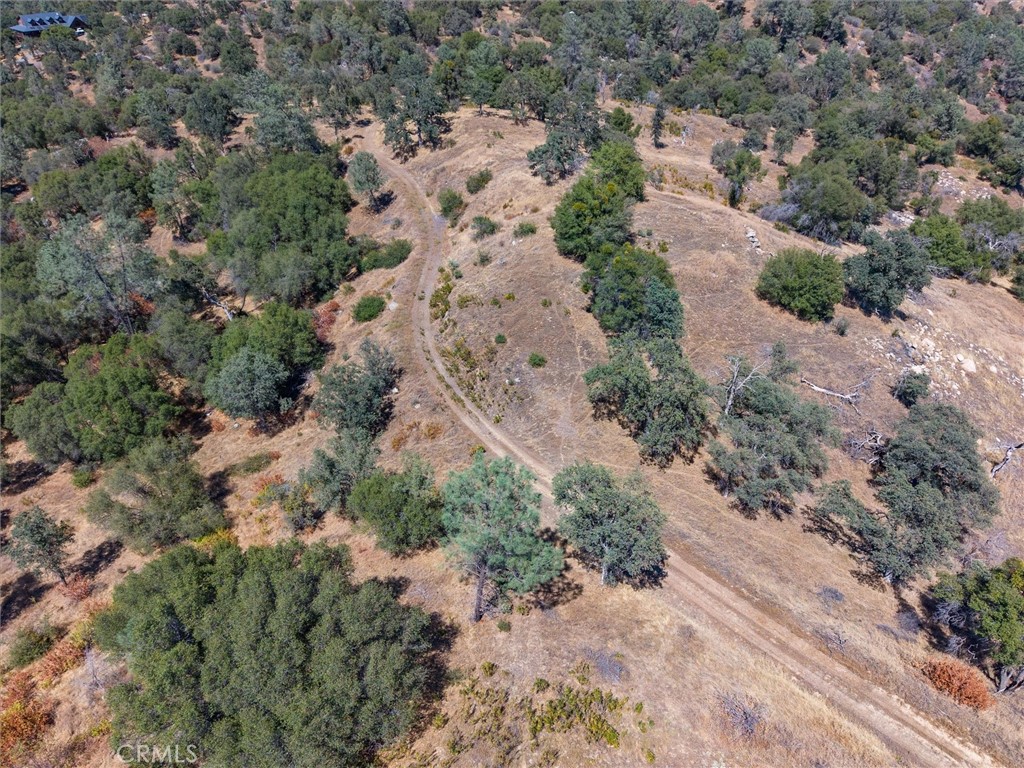 3831 Broncho Hollow Property Photo 16