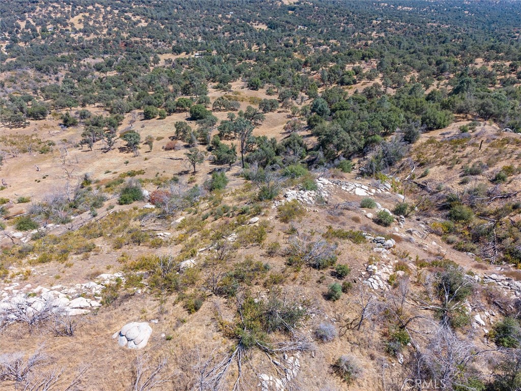 3831 Broncho Hollow Property Photo 18