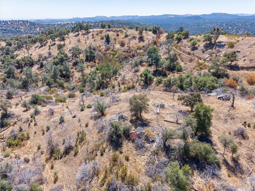 3831 Broncho Hollow Property Photo 19