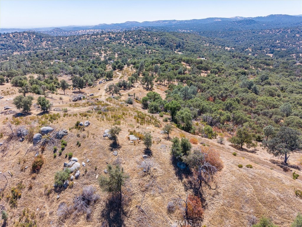 3831 Broncho Hollow Property Photo 20