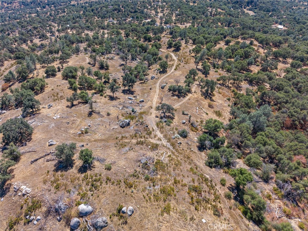 3831 Broncho Hollow Property Photo 21