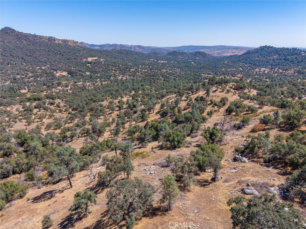 3831 Broncho Hollow Property Photo 22