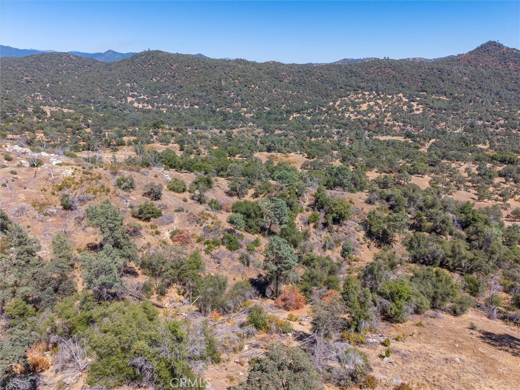 3831 Broncho Hollow Property Photo 23