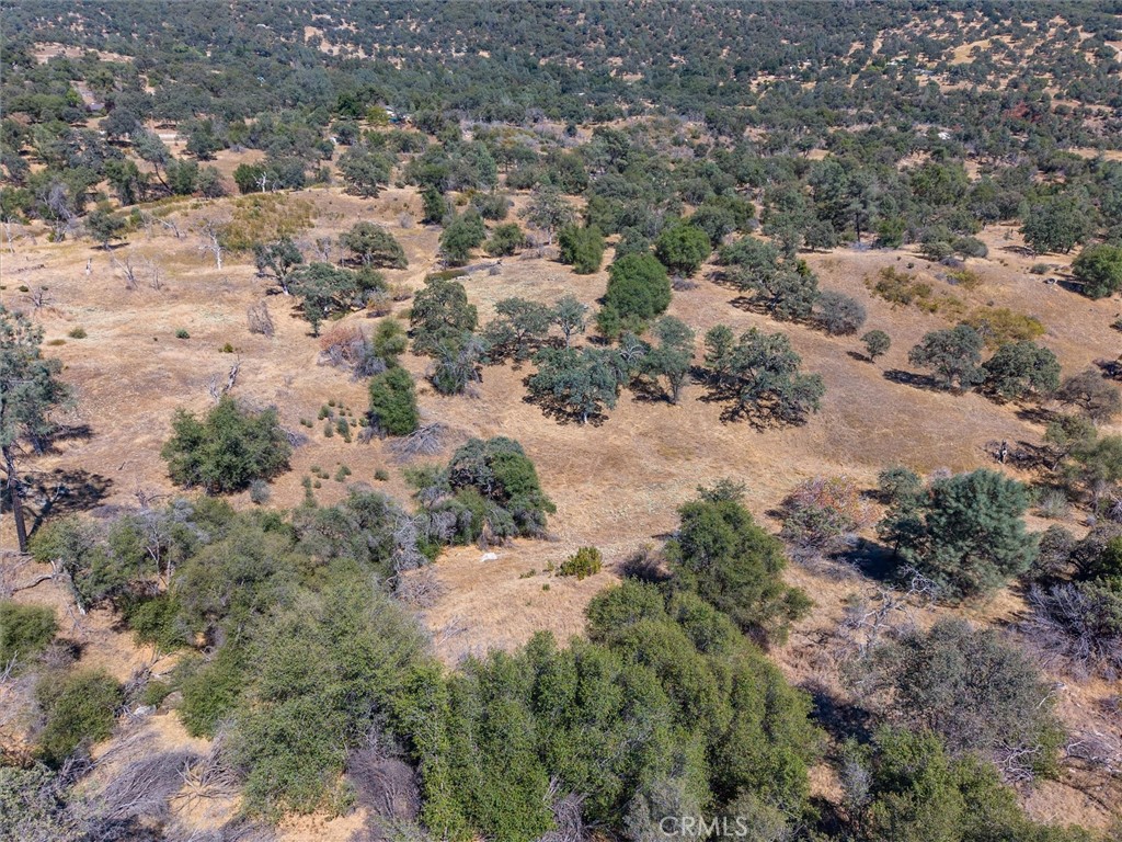 3831 Broncho Hollow Property Photo 24